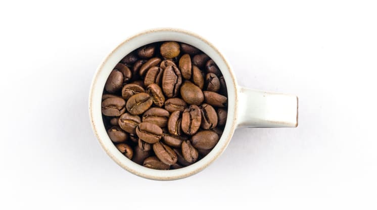 Freshly roasted <br> to perfection